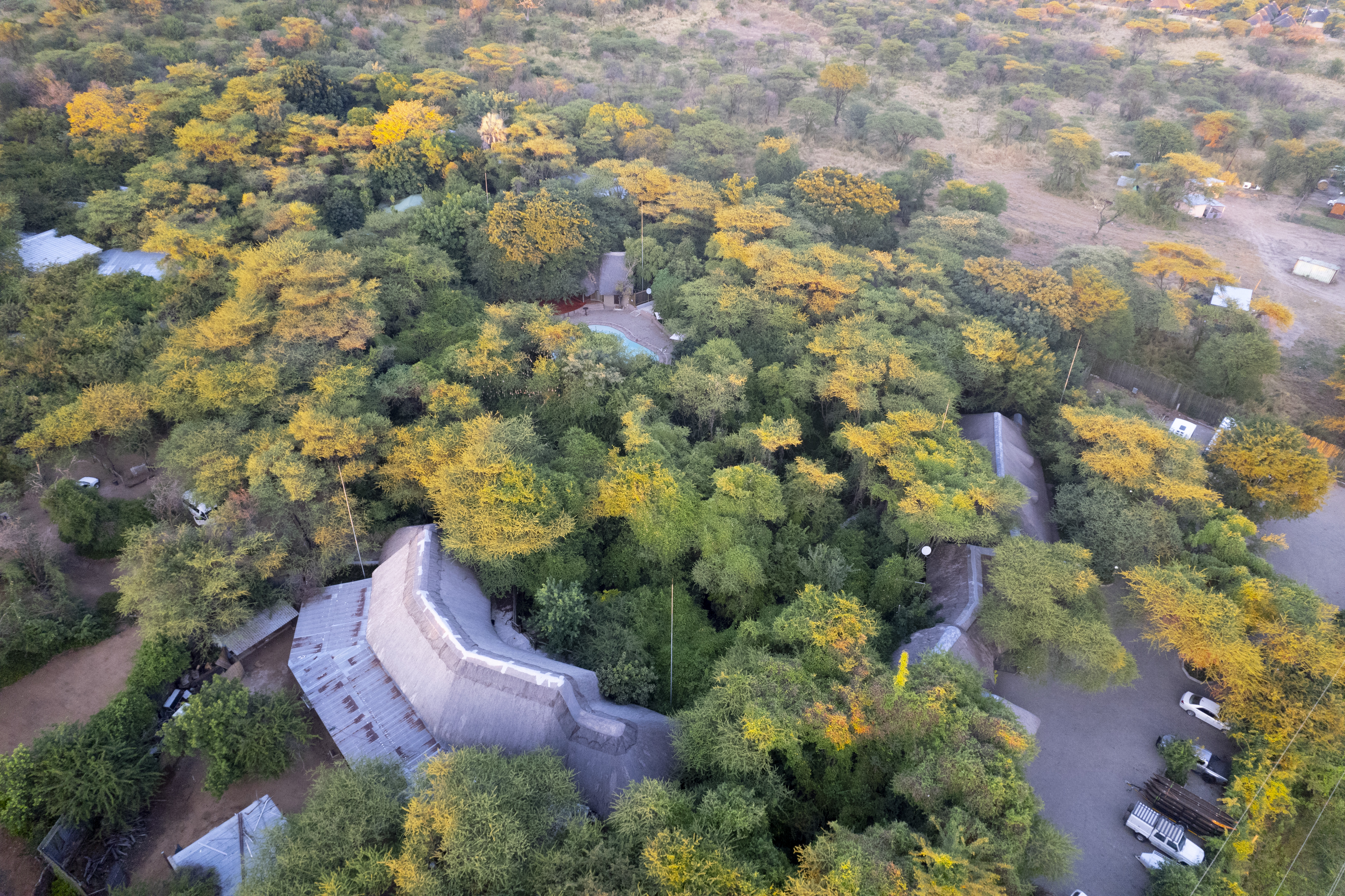 Golden grasslands of the Chobe escarpment